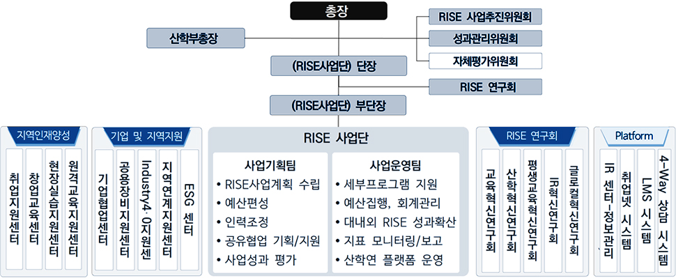 RISE사업단 조직 구성으로는 총장 산하에 산학부총장 / RISE 사업추진위원회, 성과관리위원회, 자체평가위원회 / (RISE사업단) 단장 / RISE 연구회 / (RISE사업단) 부단장이 있습니다. 지역인재양성에는 취업지원센터,창업교육센터,현장실습지원센터,원격교육지원센터가 있고 기업 및 지역지원에는 기업협업센터,공용장비지원센터,Industry4.0지원센,지역연계지원센터,ESG 센터있습니다. RISE 사업단 사업기획팀은 RISE사업계획 수립,예산편성,인력조정,공유협업 기획/지원,사업성과 평가를 하고 RISE 사업단 사업운영팀은 세부프로그램 지원,예산집행, 회계관리,대내외 RISE 성과확산,지표 모니터링/보고,산학연 플랫폼 운영을 합니다. RISE 연구회에는 교육혁신연구회,산학혁신연구회,평생교육혁신연구회,IR혁신연구회,글로컬혁신연구회가 있습니다. Platform에는 IR 센터-정보관리,취업넷 시스템,LMS 시스템,4-Way 상담 시스템이 있습니다.